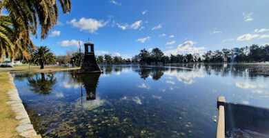 Glorieta del Parque Municipal Las Acollaradas